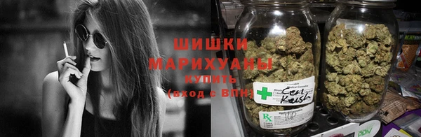 гидропоника Белокуриха