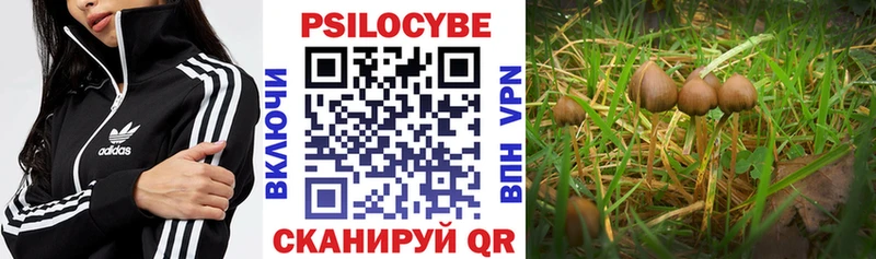 Псилоцибиновые грибы прущие грибы Купить закладки Гаврилов Посад